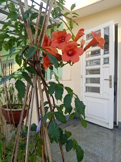 Ola's Home – Fotos 9