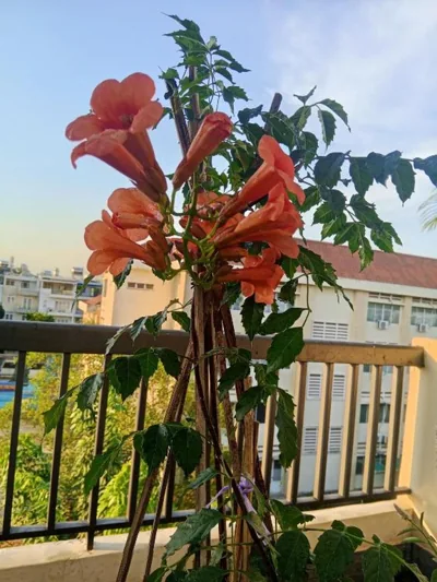 Ola's Home – Fotos 13